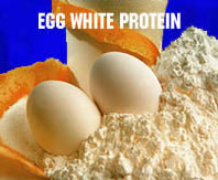 Egg White Protein Powder